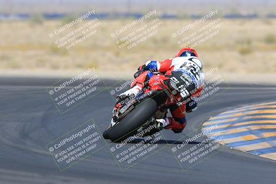 media/May-13-2023-SoCal Trackdays (Sat) [[8a473a8fd1]]/Turn 11 Backside (945am)/